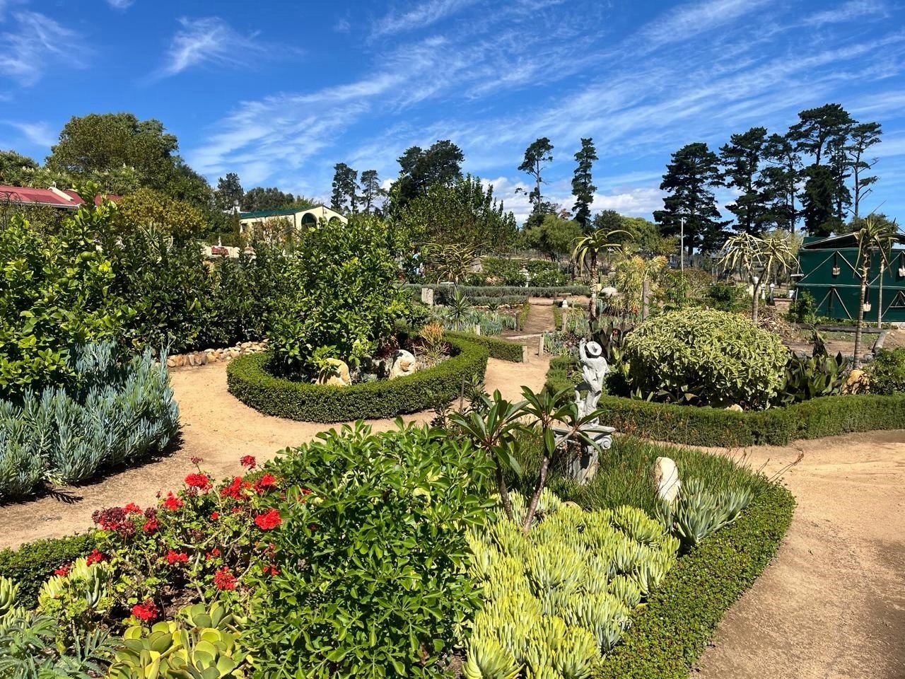 The succulent garden outside the studio under a blue Cape Town sky