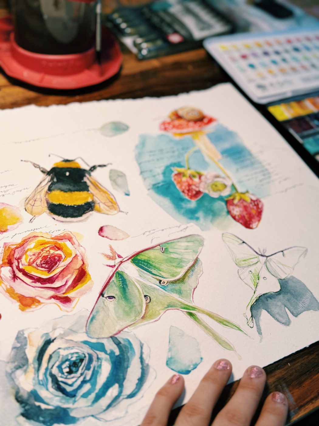 Watercolor study sheet of bees, luna moths and roses, exploring form and movement before the full painting