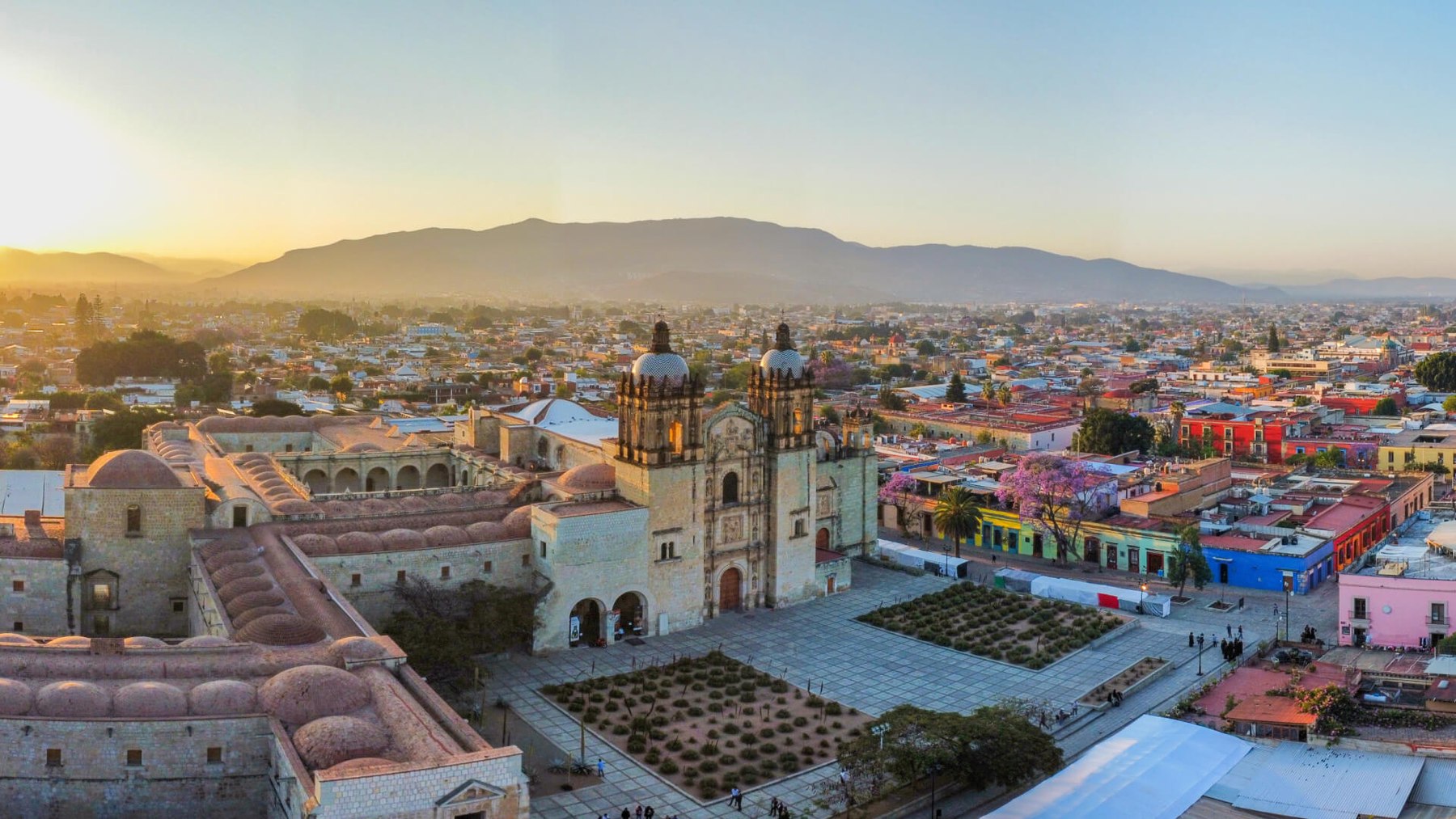 Oaxaca City seen from above at sunset, the twin towers and dome of Santo Domingo in the middle of the frame, low hills along the horizon and a jacaranda in flower to the right