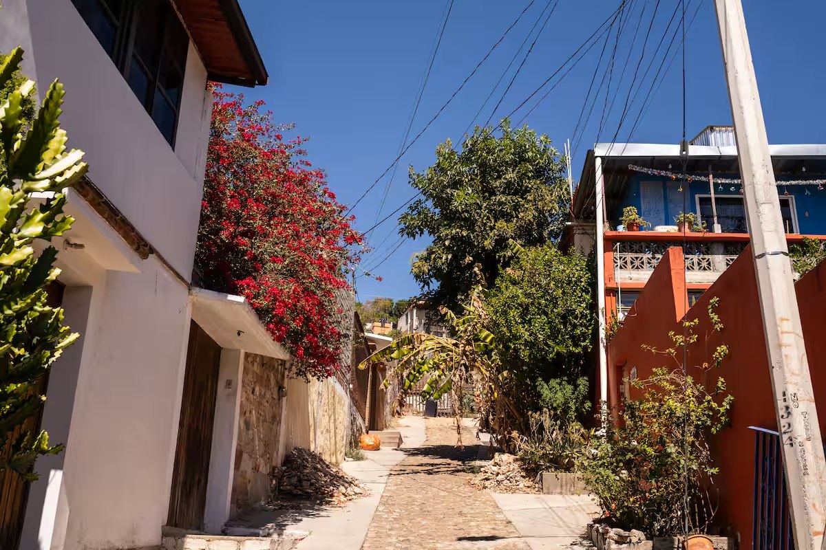A narrow cobbled lane climbing between white and terracotta houses, heavy with red bougainvillea and cactus under a deep blue sky