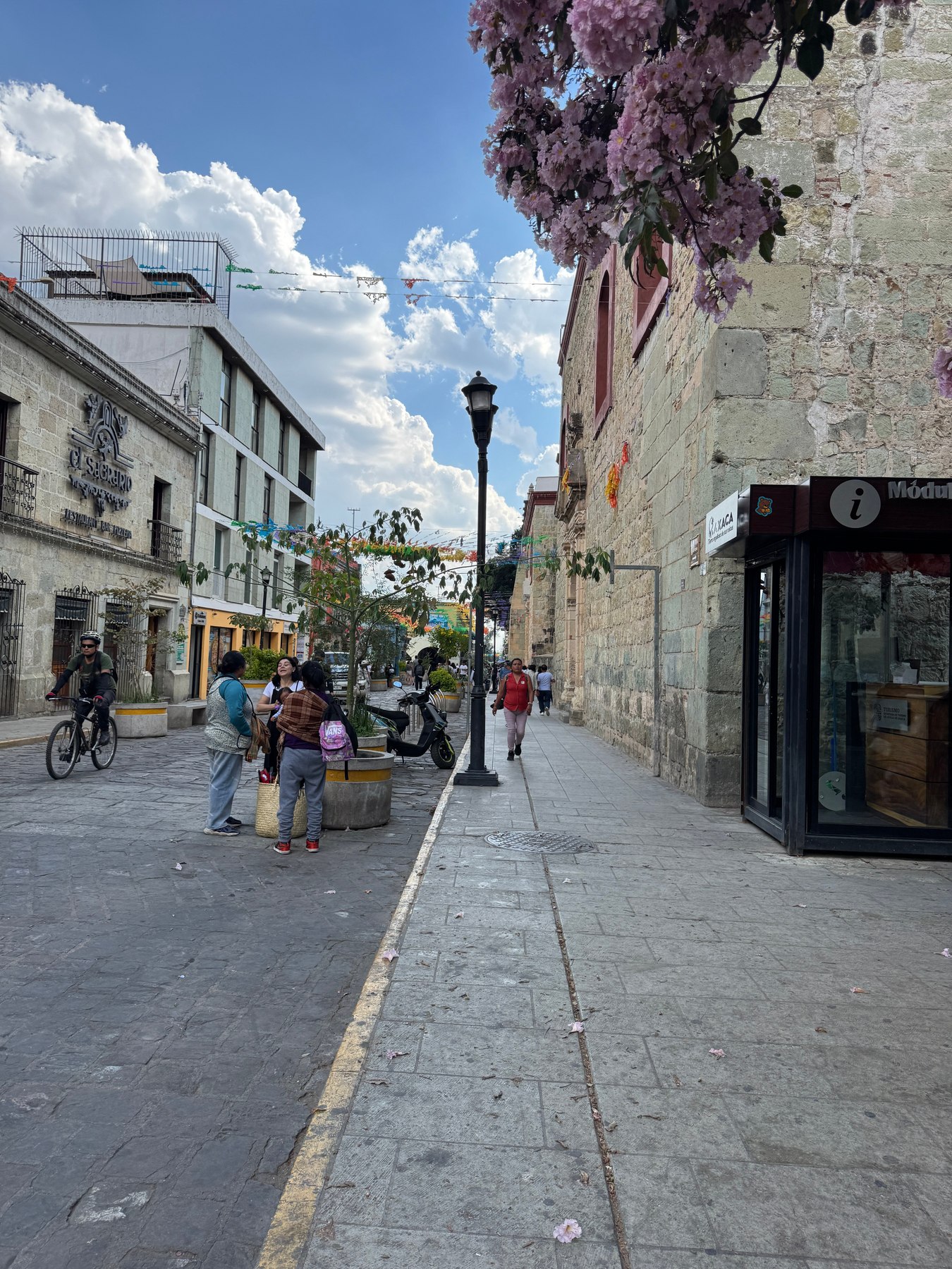 A street in Oaxaca City beside a stone church wall, pink blossom hanging over the pavement, papel picado strung across the road, a cyclist and a few people walking